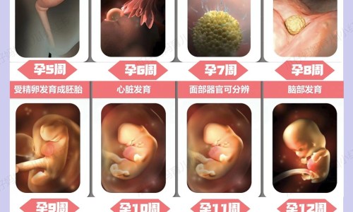 哺乳期能吃枇杷叶吗网 :分享哺乳期能吃枇杷叶吗会胀气吗-哺乳期能吃的食物清单知识